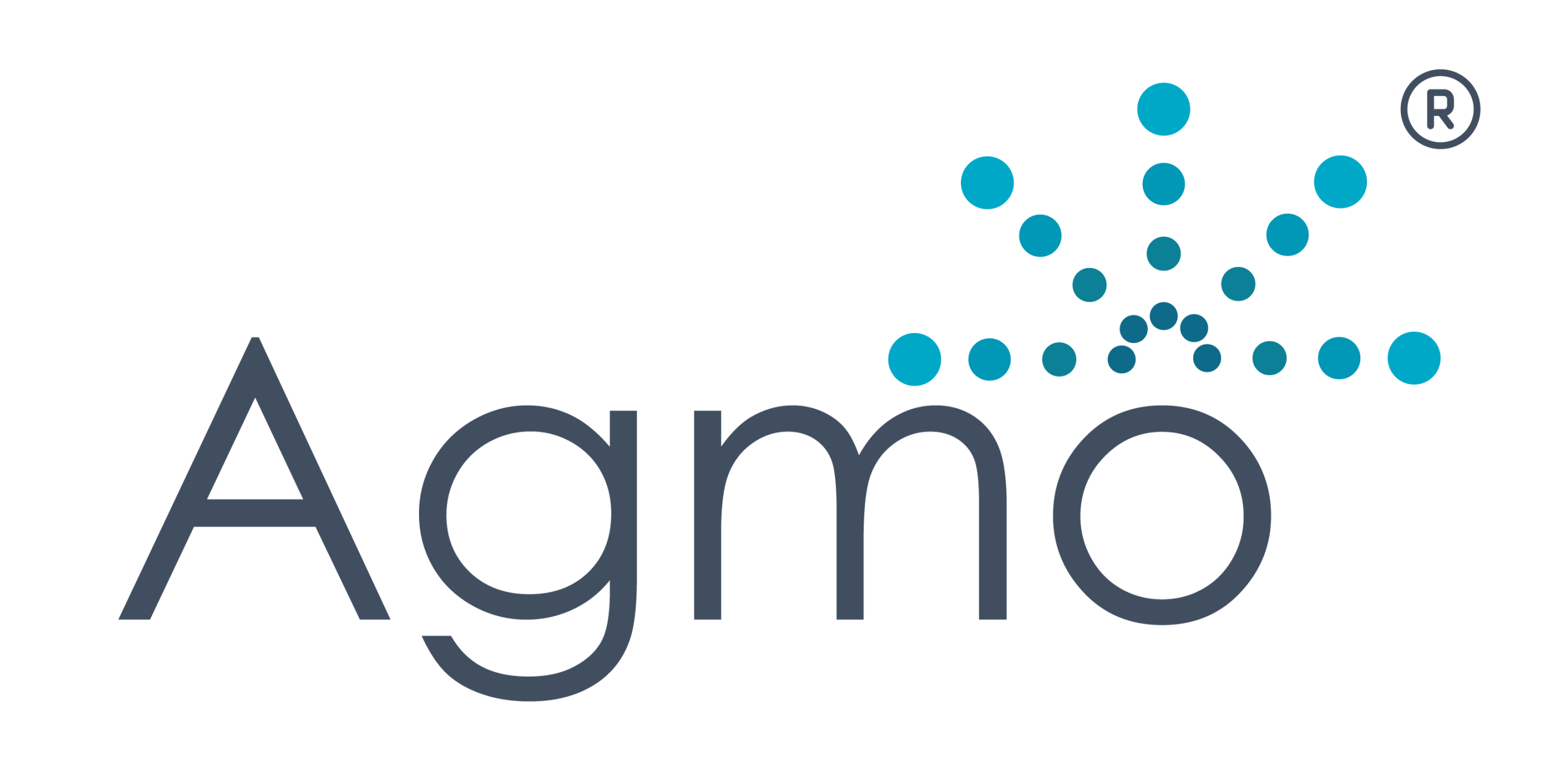 Partner Logo 1
